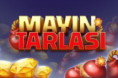 Mayın Tarlası